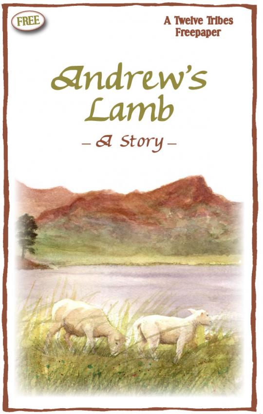 Andrew's Lamb freepaper cover
