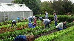 working together in our garden