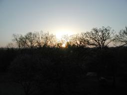 Sunrise over our 5 acres